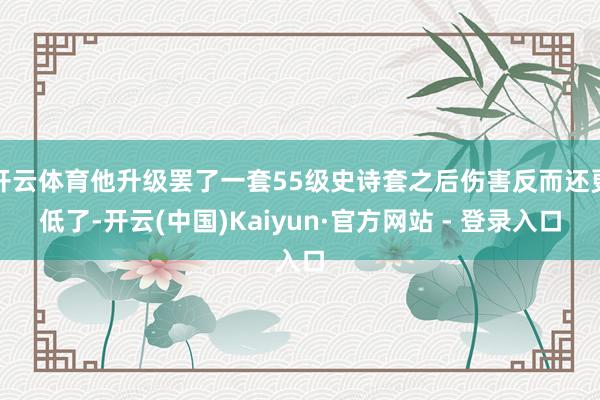 开云体育他升级罢了一套55级史诗套之后伤害反而还更低了-开云(中国)Kaiyun·官方网站 - 登录入口