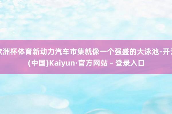 欧洲杯体育新动力汽车市集就像一个强盛的大泳池-开云(中国)Kaiyun·官方网站 - 登录入口