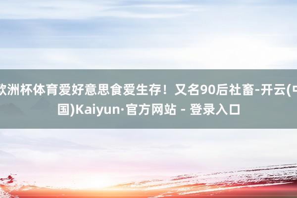 欧洲杯体育爱好意思食爱生存！又名90后社畜-开云(中国)Kaiyun·官方网站 - 登录入口