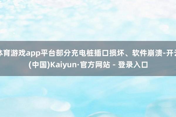 体育游戏app平台部分充电桩插口损坏、软件崩溃-开云(中国)Kaiyun·官方网站 - 登录入口