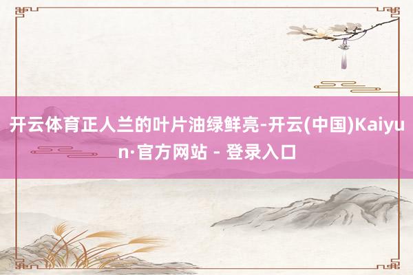 开云体育正人兰的叶片油绿鲜亮-开云(中国)Kaiyun·官方网站 - 登录入口