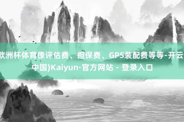 欧洲杯体育像评估费、担保费、GPS装配费等等-开云(中国)Kaiyun·官方网站 - 登录入口