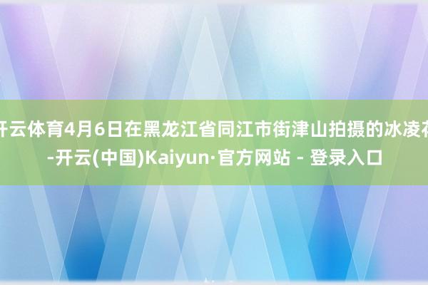 开云体育4月6日在黑龙江省同江市街津山拍摄的冰凌花-开云(中国)Kaiyun·官方网站 - 登录入口