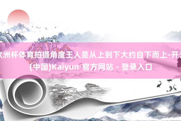 欧洲杯体育拍摄角度王人是从上到下大约自下而上-开云(中国)Kaiyun·官方网站 - 登录入口