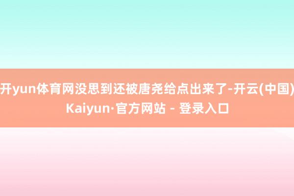 开yun体育网没思到还被唐尧给点出来了-开云(中国)Kaiyun·官方网站 - 登录入口
