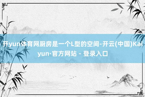 开yun体育网厨房是一个L型的空间-开云(中国)Kaiyun·官方网站 - 登录入口