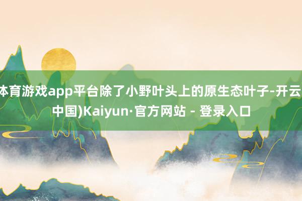 体育游戏app平台除了小野叶头上的原生态叶子-开云(中国)Kaiyun·官方网站 - 登录入口