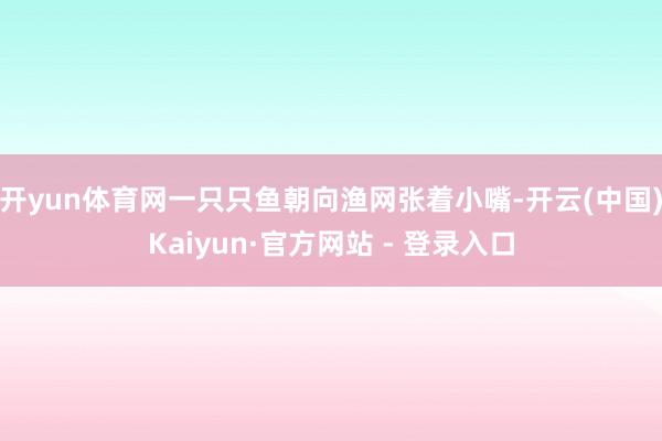 开yun体育网一只只鱼朝向渔网张着小嘴-开云(中国)Kaiyun·官方网站 - 登录入口