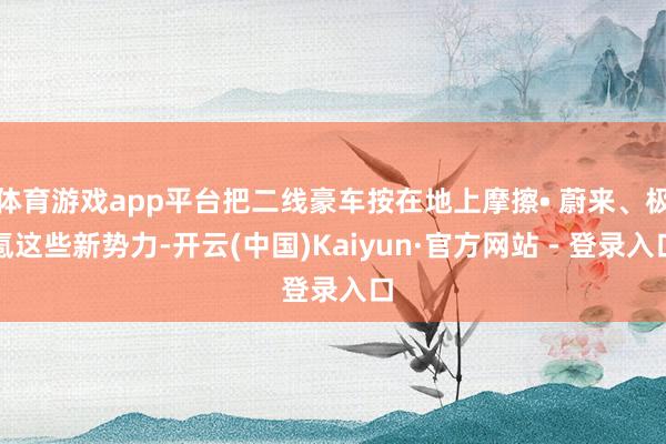 体育游戏app平台把二线豪车按在地上摩擦• 蔚来、极氪这些新势力-开云(中国)Kaiyun·官方网站 - 登录入口