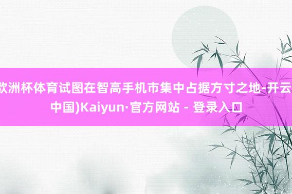 欧洲杯体育试图在智高手机市集中占据方寸之地-开云(中国)Kaiyun·官方网站 - 登录入口