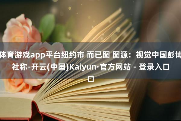 体育游戏app平台纽约市 而已图 图源：视觉中国彭博社称-开云(中国)Kaiyun·官方网站 - 登录入口