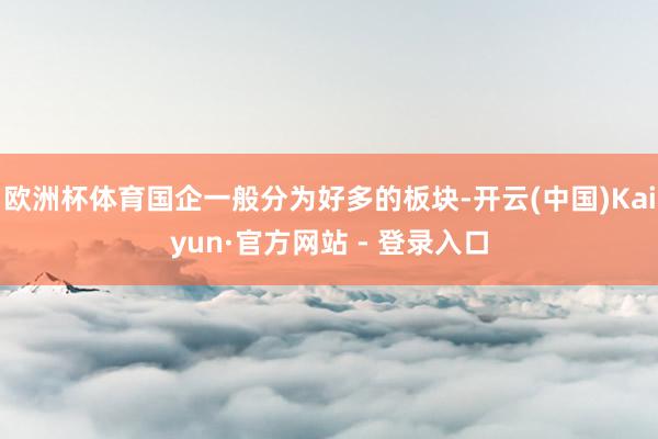 欧洲杯体育国企一般分为好多的板块-开云(中国)Kaiyun·官方网站 - 登录入口