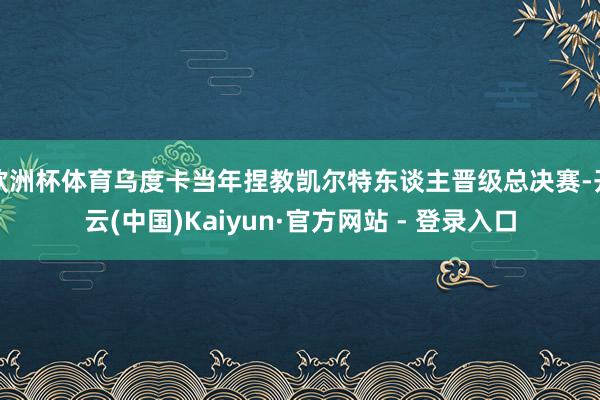 欧洲杯体育乌度卡当年捏教凯尔特东谈主晋级总决赛-开云(中国)Kaiyun·官方网站 - 登录入口