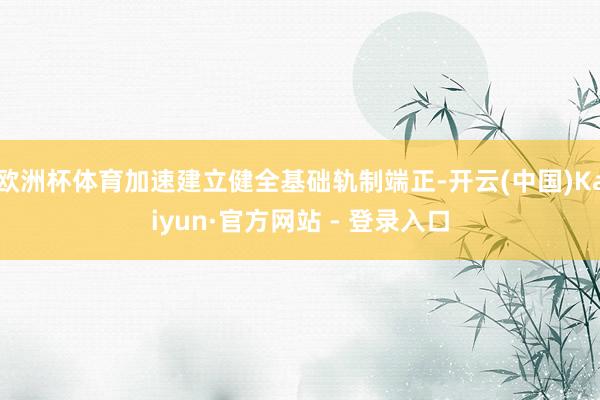 欧洲杯体育加速建立健全基础轨制端正-开云(中国)Kaiyun·官方网站 - 登录入口