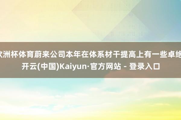 欧洲杯体育蔚来公司本年在体系材干提高上有一些卓绝-开云(中国)Kaiyun·官方网站 - 登录入口