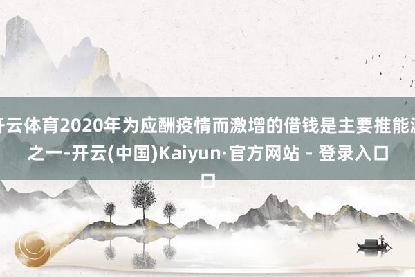 开云体育2020年为应酬疫情而激增的借钱是主要推能源之一-开云(中国)Kaiyun·官方网站 - 登录入口