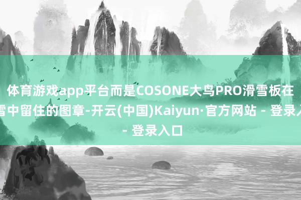 体育游戏app平台而是COSONE大鸟PRO滑雪板在粉雪中留住的图章-开云(中国)Kaiyun·官方网站 - 登录入口