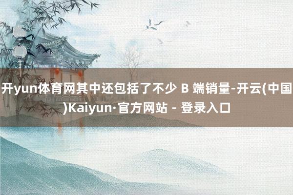 开yun体育网其中还包括了不少 B 端销量-开云(中国)Kaiyun·官方网站 - 登录入口