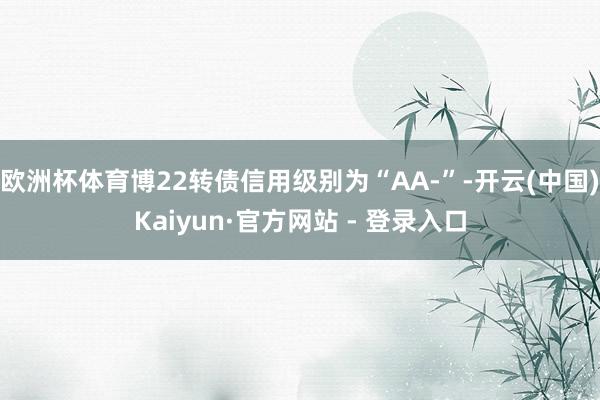 欧洲杯体育博22转债信用级别为“AA-”-开云(中国)Kaiyun·官方网站 - 登录入口
