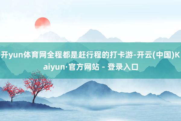 开yun体育网全程都是赶行程的打卡游-开云(中国)Kaiyun·官方网站 - 登录入口
